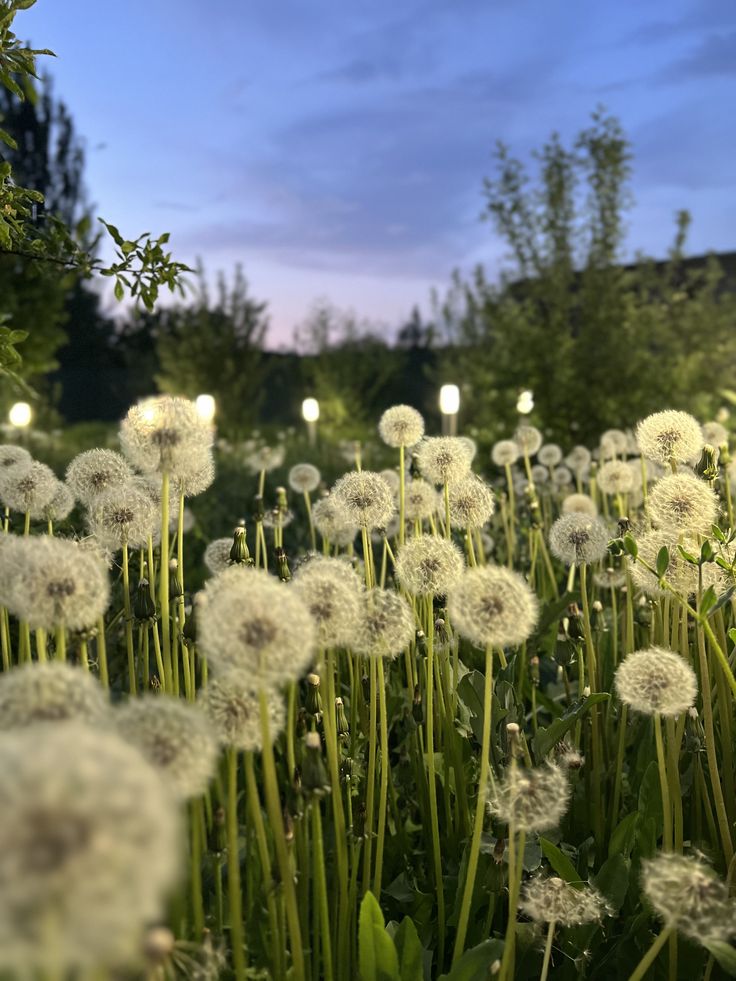 ᅠ ᅠ (@greendreaams) on Twitter photo 