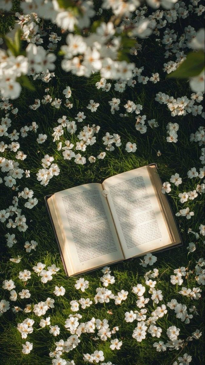 ᅠ ᅠ (@greendreaams) on Twitter photo 