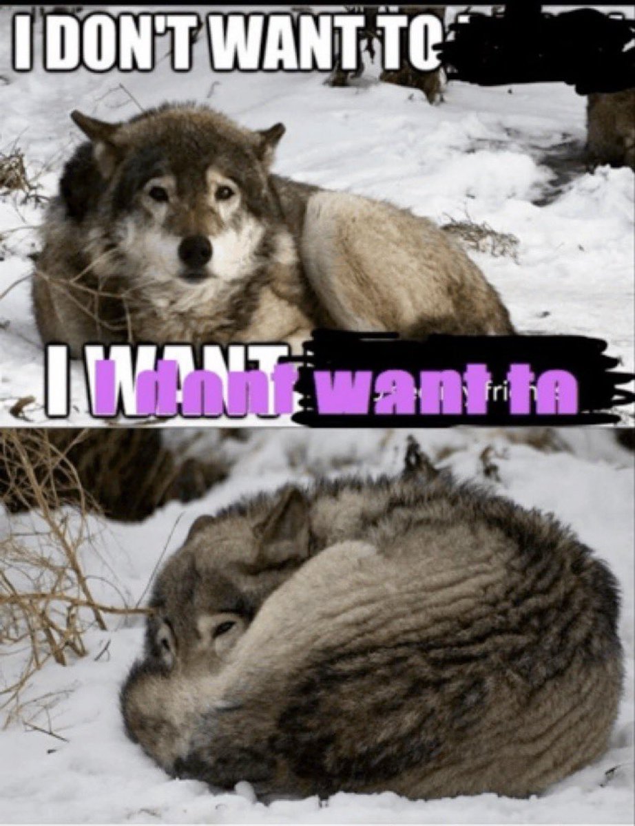 Lendis (@sirlendis) on Twitter photo 