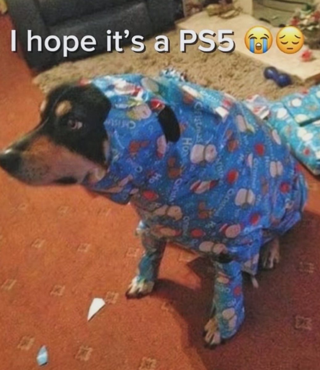 RespectfulMemes's tweet image. 