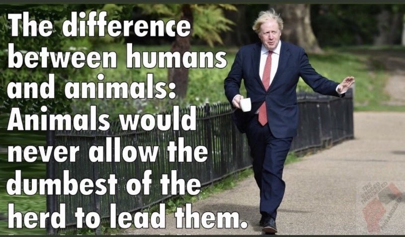 Lady Matilda Peace tweet media