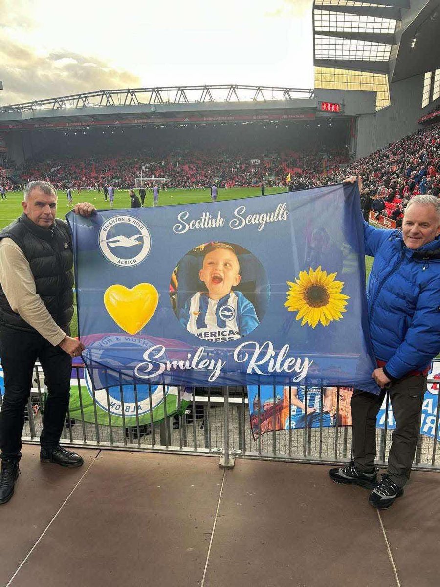 Football Away Days tweet media