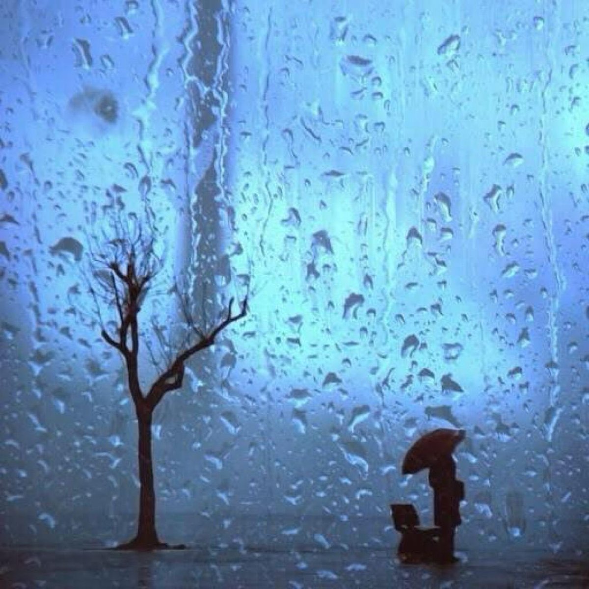 مثل حس المطر
حبك
يجي فجأة
بلاميعاد