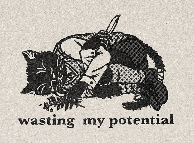 blackdreamvibes's tweet image. 