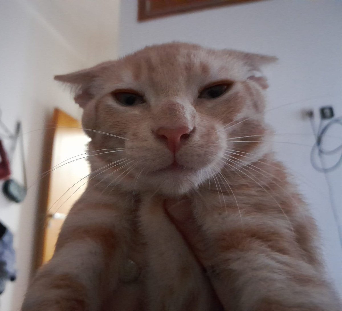 la cara de un tipo que está harto de que dos lesbianas lo llenen de besos