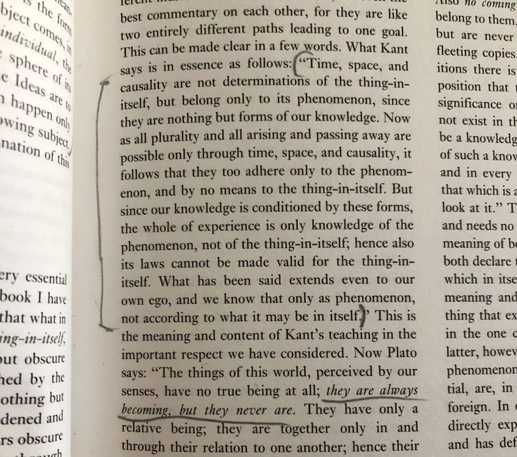 One sentence from Schopenhauer and I’m questioning my whole worldview.

It’s that good.