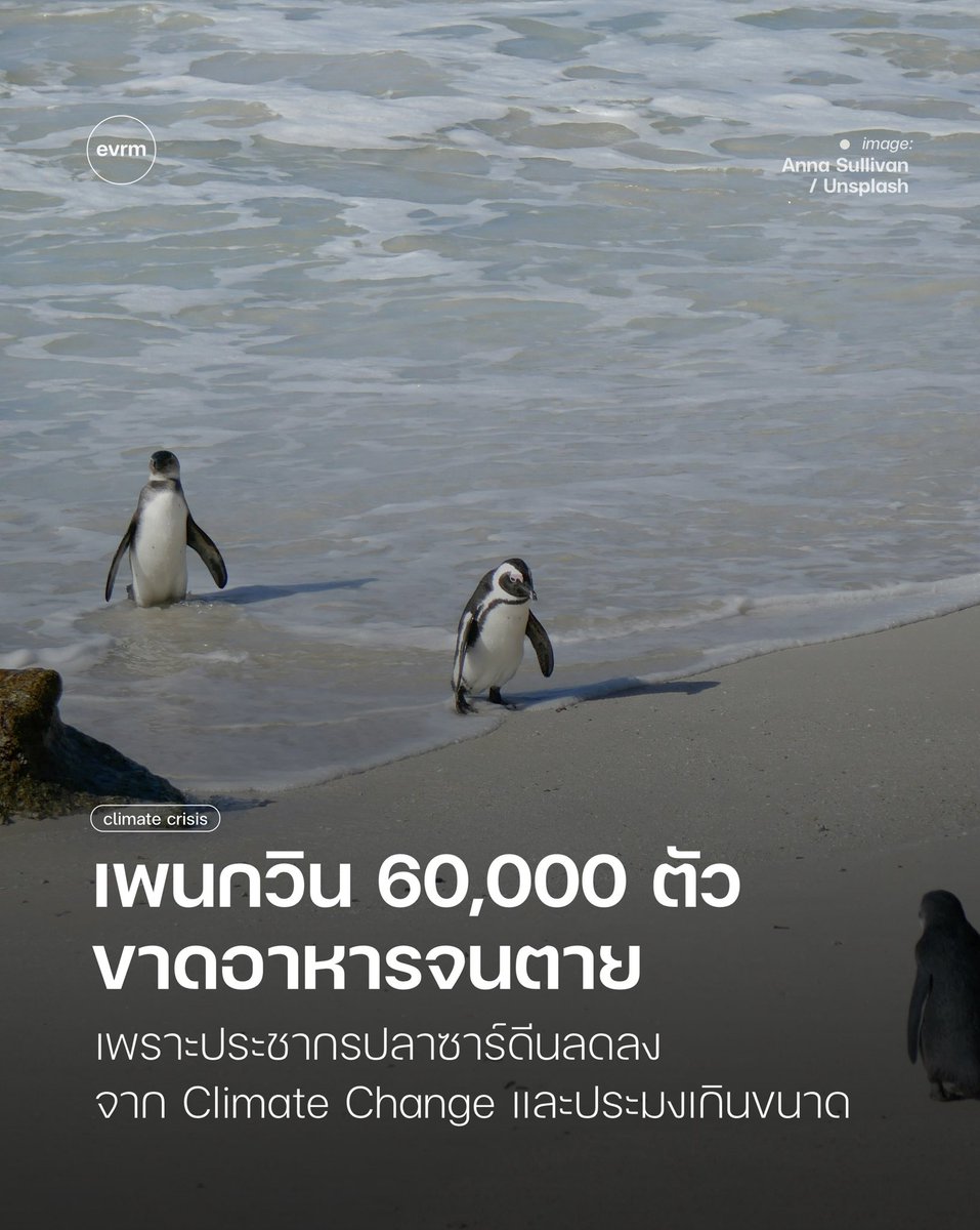 environman tweet media