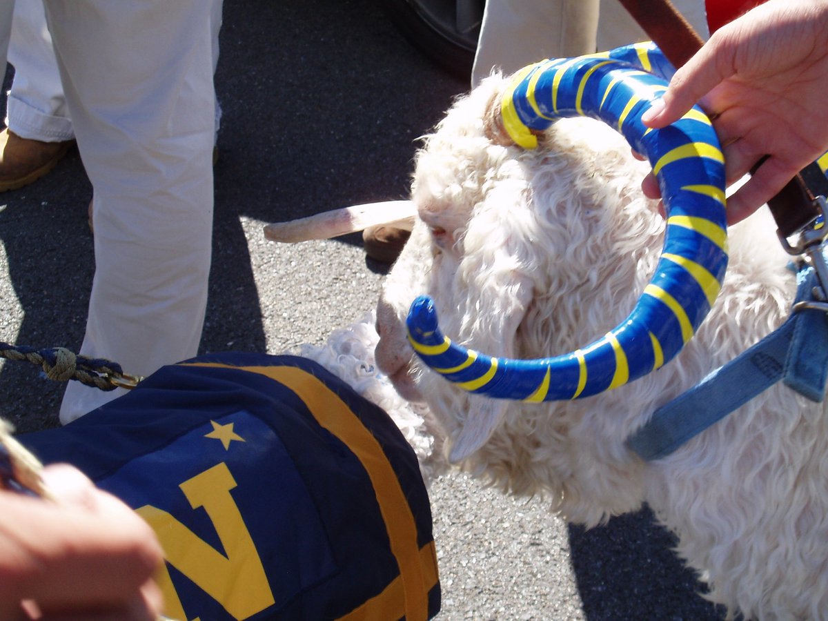 Keith_Humphrey's tweet photo. #GoNavyBeatArmy #GoNavy #FeartheGoat https://t.co/qCKhOteT8a