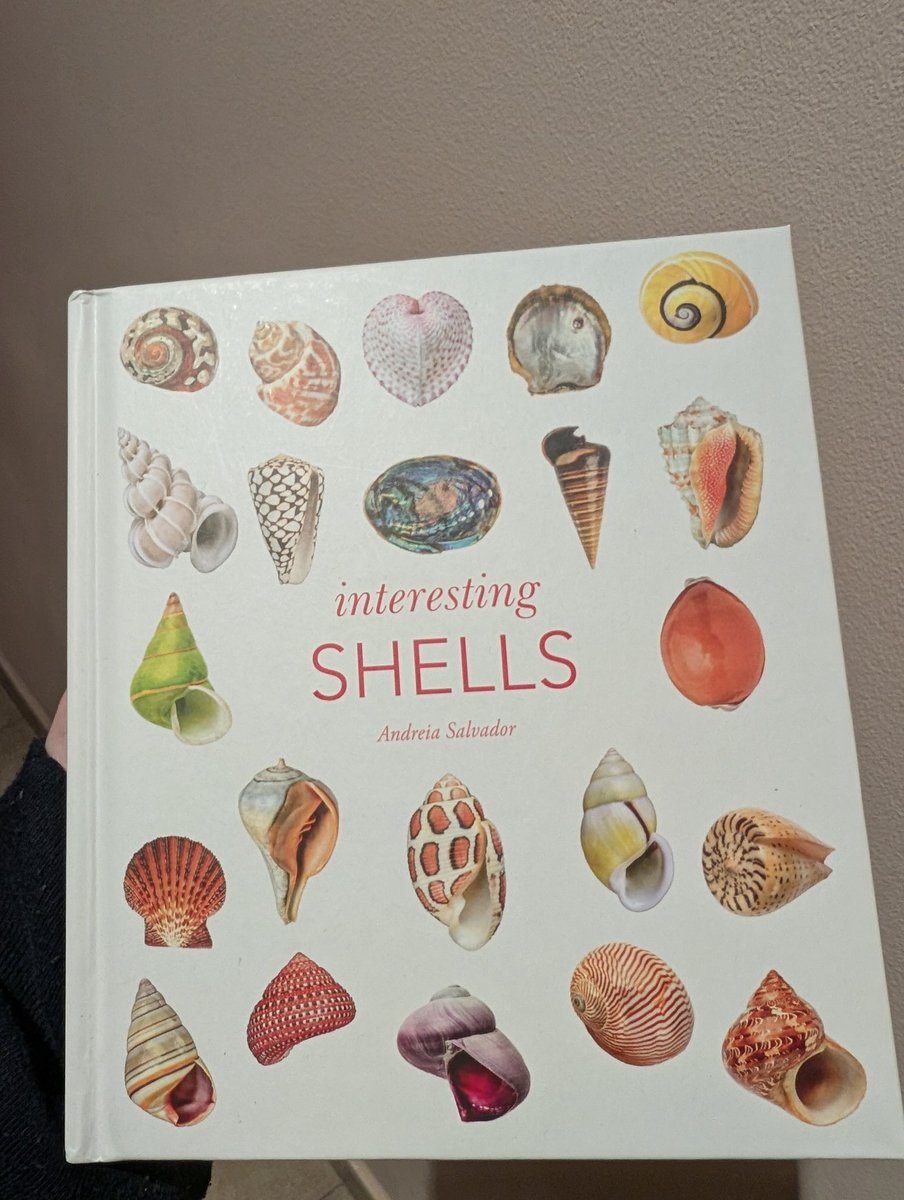 slothdive's tweet image. negando con la cabeza mientras hojeo interesting shells porque trae consigo la implicación de que hay shells que no son interesting