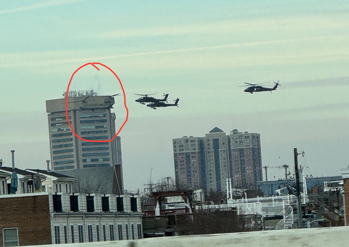 History Dame tweet media