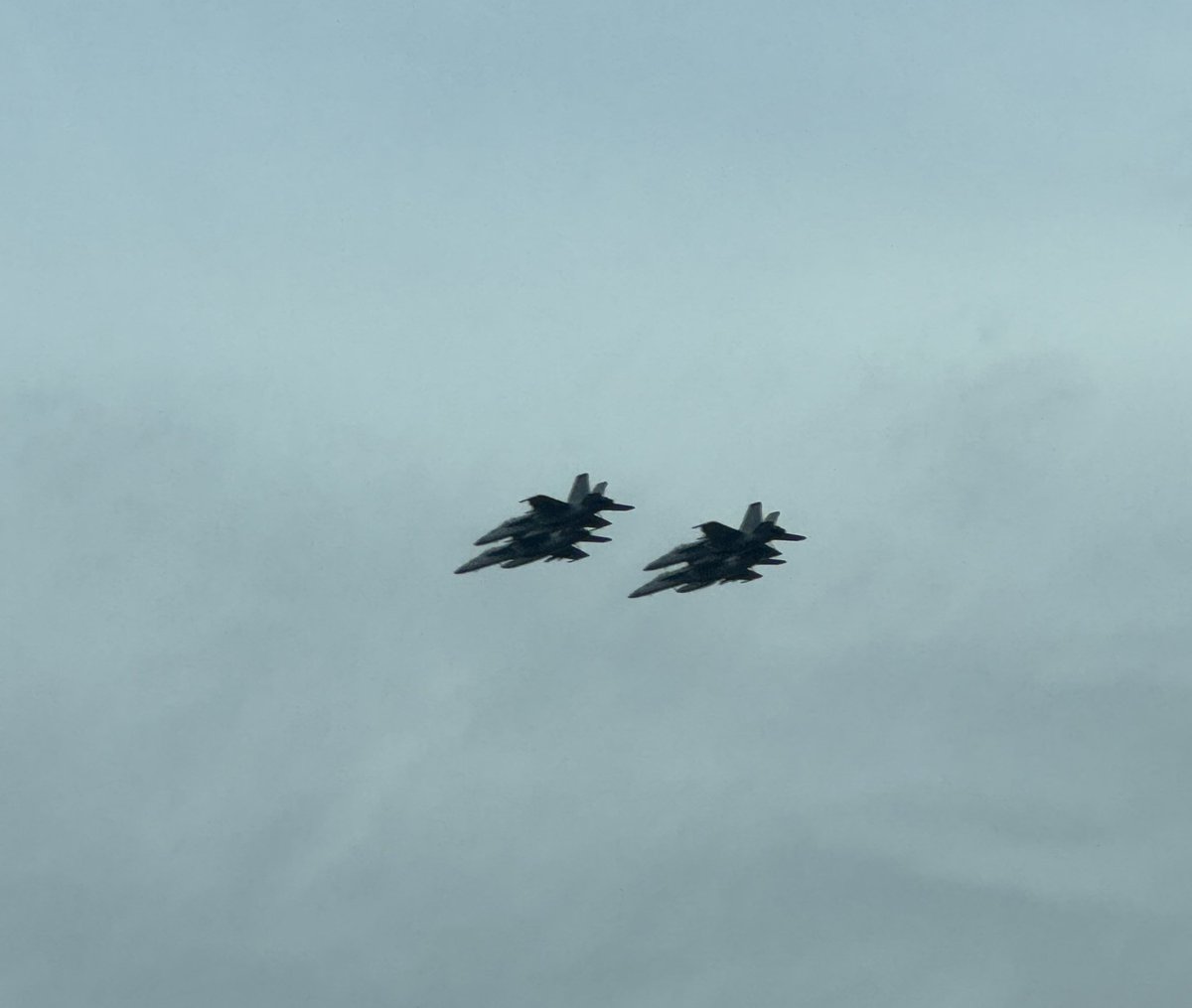 History Dame tweet media