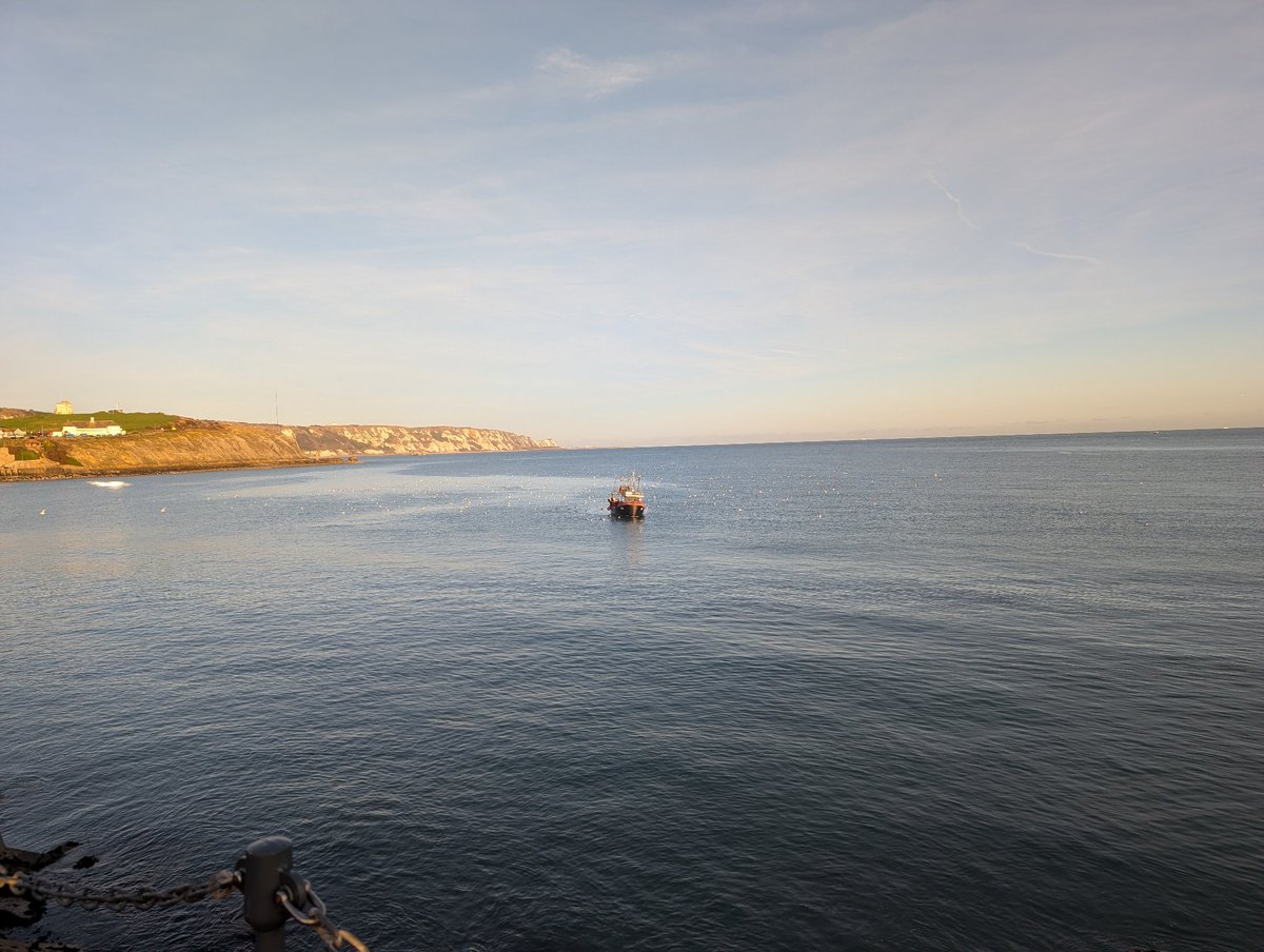 Mickey Williams tweet media