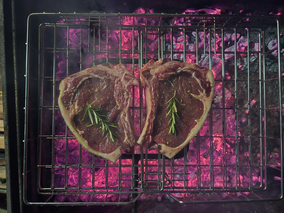 Day 9

Sirloin on the bone with my varsity roommate🥩