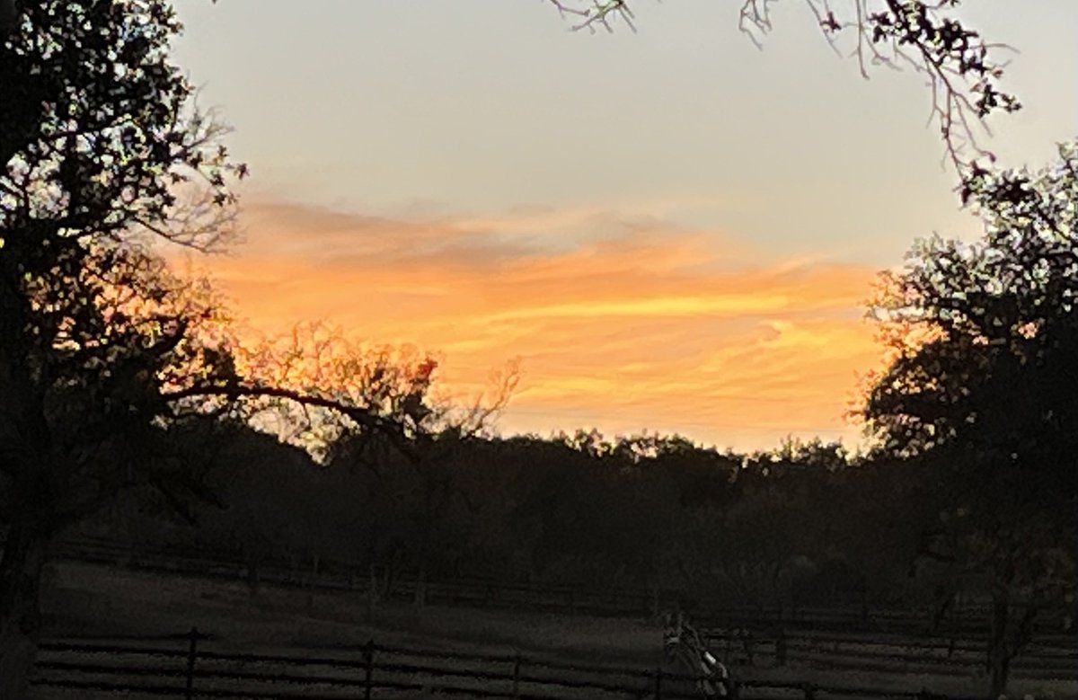 AlaskaOutpost's tweet image. “The intuitive mind is a sacred gift and the rational mind is a faithful servant. We have created a society that honors the servant and has forgotten the gift.”  - Albert Einstein