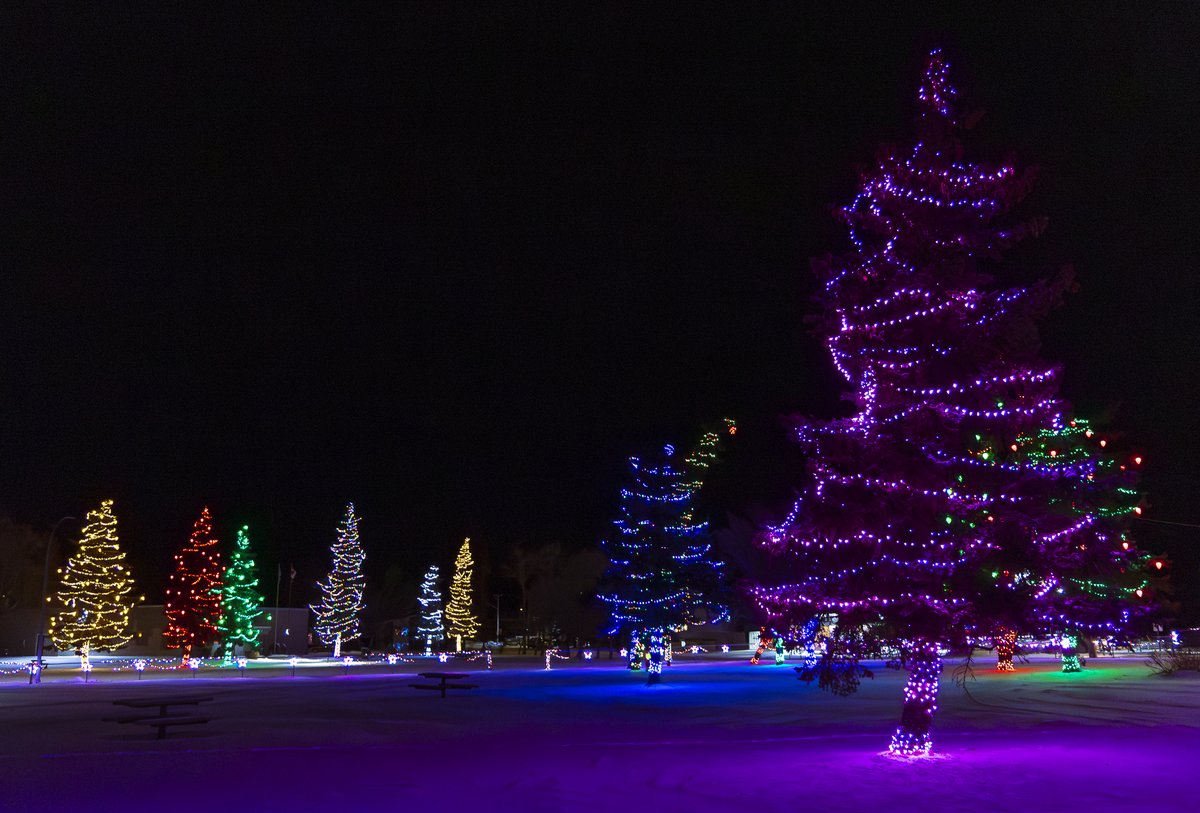 Head to Lions Centennial Park and experience Ponoka’s annual festive light display. 🎄✨

Thanks to the continued support of the Ponoka Lions Club, this year’s display is bigger and brighter than ever and will run until the end of February.🎄❄️

For more ways to celebrate the