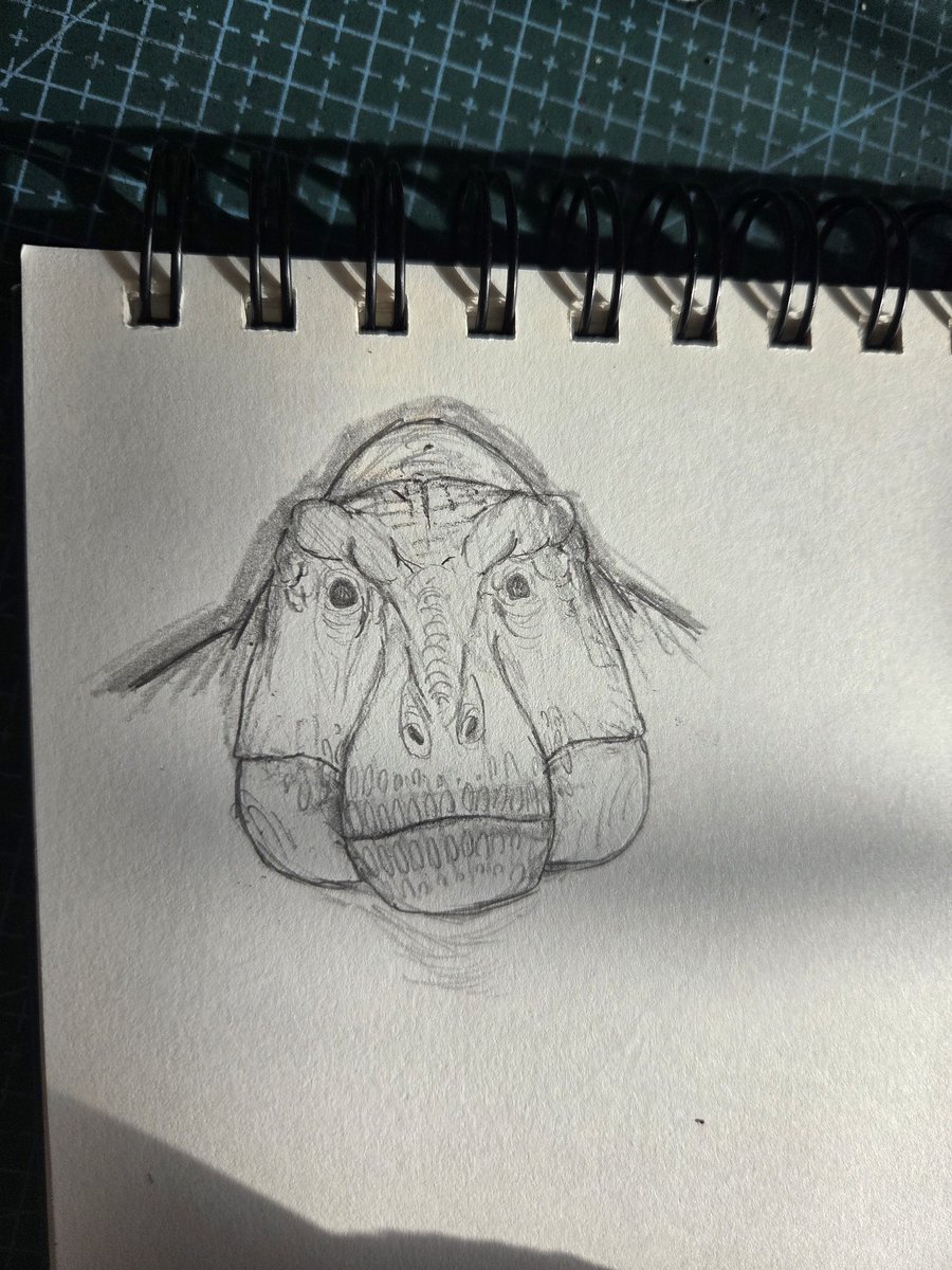 Practicing trex's front view