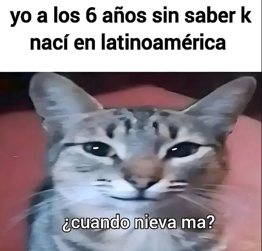 Ulises (@ulisesdavid__) on Twitter photo 