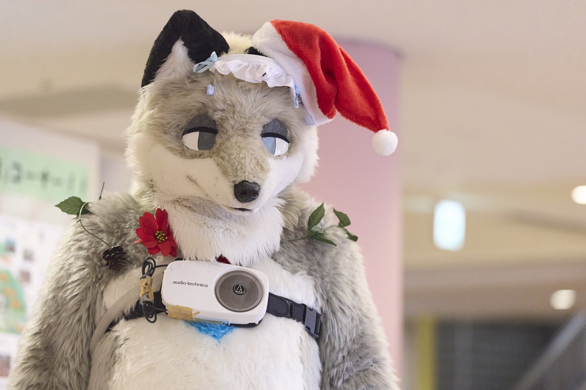 どんちゃん (@Donn_Chann) / Posts / X