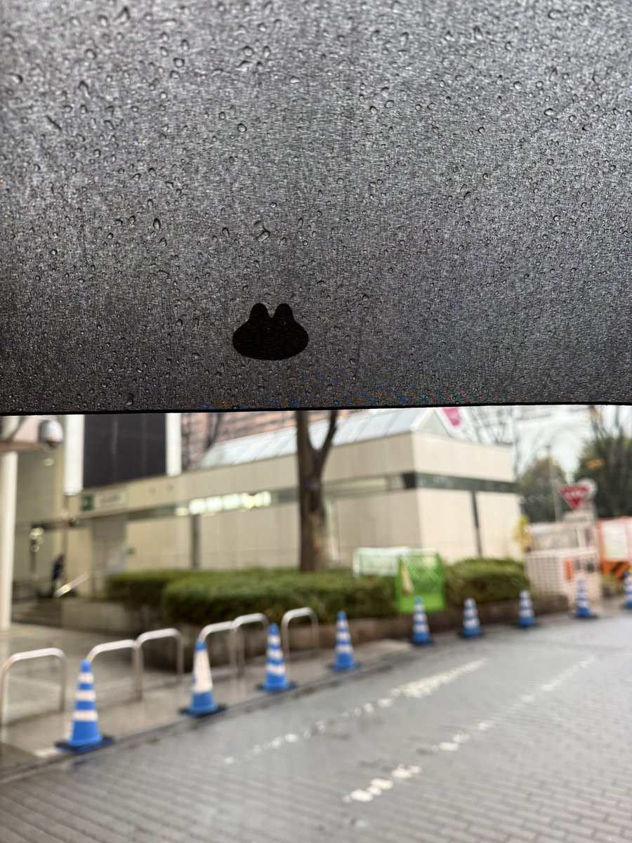 まりも (@marimo_tadokoro) / Posts / X