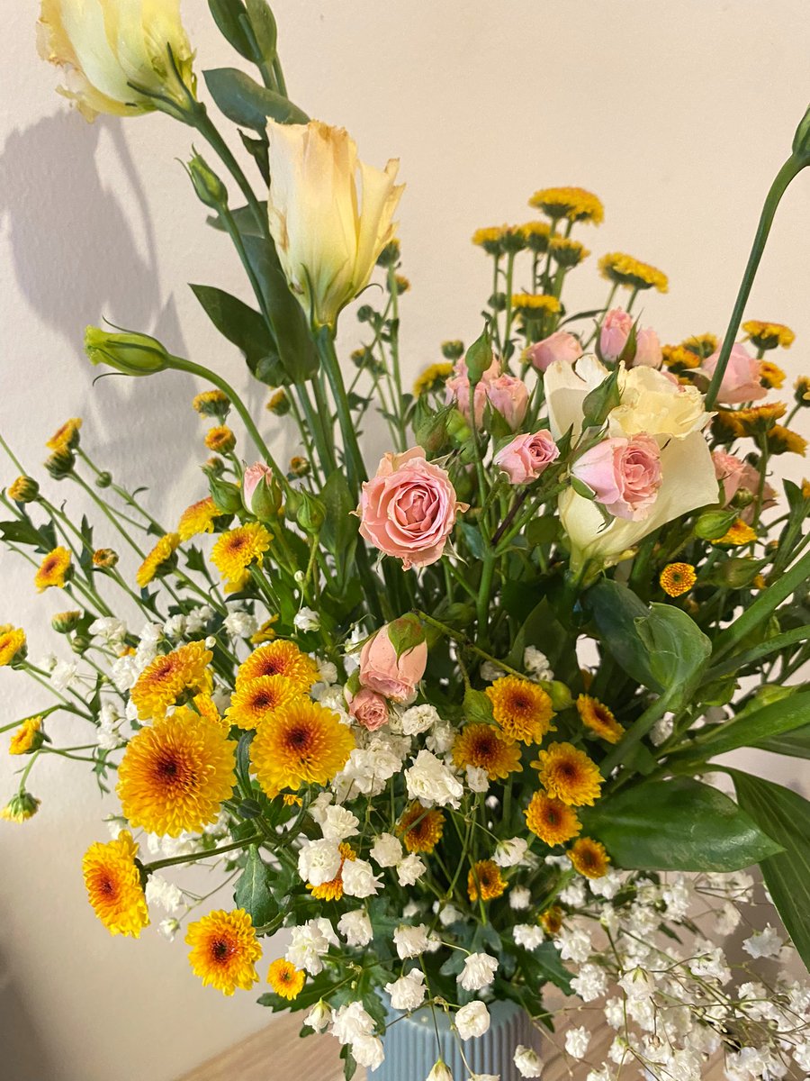 Seminggu yang lalu aku membeli bunga-bunga cantik ini 😍😍

Selamaat hari Minggu 🌹🌸💐🌺🌷