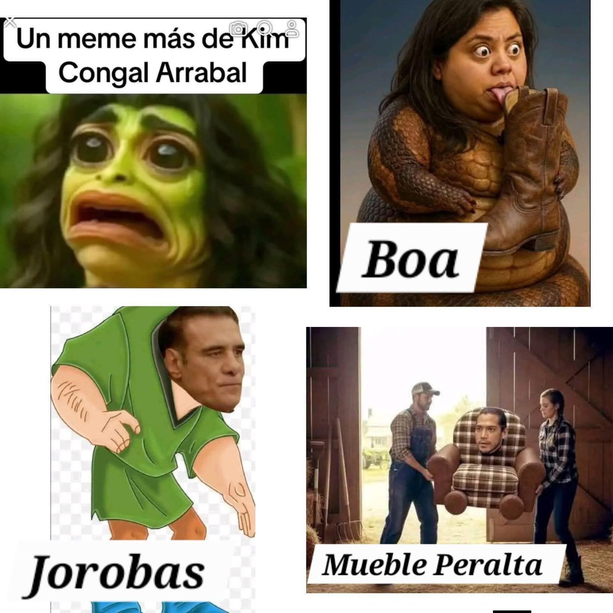 Llaman Fionas a las Fans de Eleazar creyendo que nos insultan y que nos molesta para nada. Yo soy Team Fiona con orgullo. Solo una duda como les dicen a las Fans del Patrón:  (Jorobados), a las de Kim: ( Congal), a los de Bea: ( Boas), Teo: (Muebles)