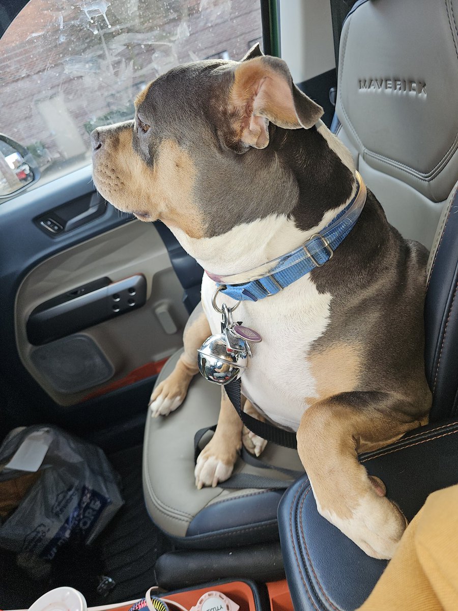 Girl riding shot gun like she owns the maverick.