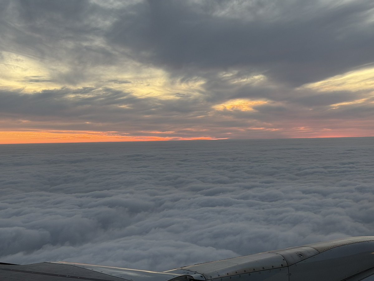 Mel Fogie, EdD tweet media