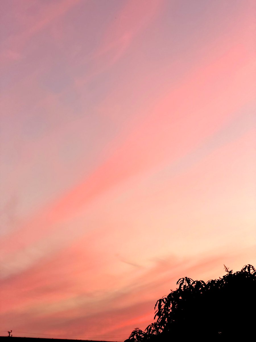 starzenith33's tweet image. Wow #Pinkskies how beautiful 😍 
Geee whiz the Sagittarius cluster in the 6th house of environment! 👀 That’s a lot Pisces, Gemini &amp;amp; Virgo! Hahahaha 

If you know, you know! #astrology #beopen #becurious