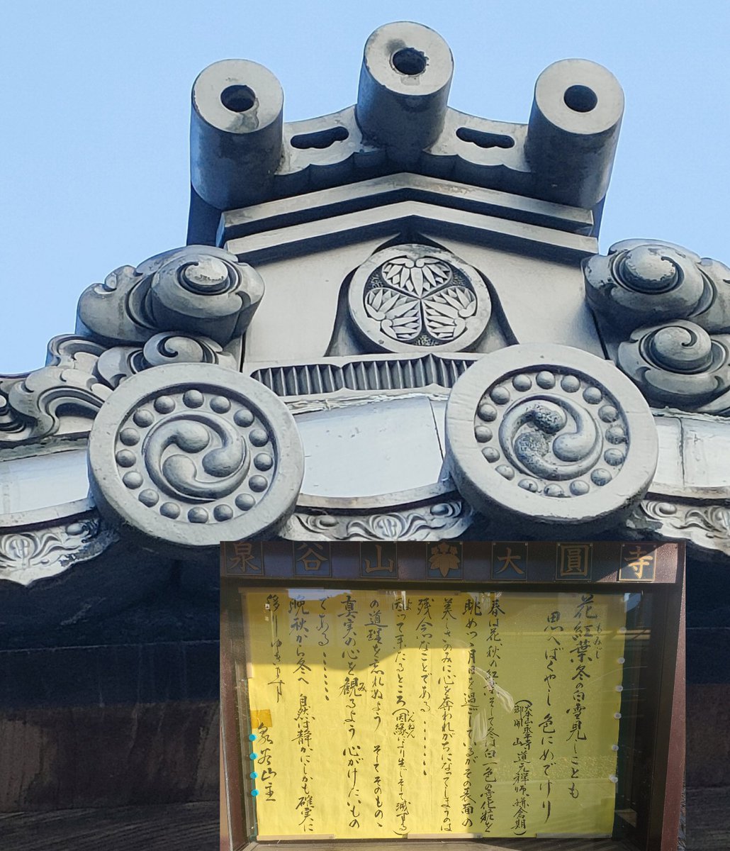 サクちゃん サクちゃん (@sakuchan13579) / Posts / X