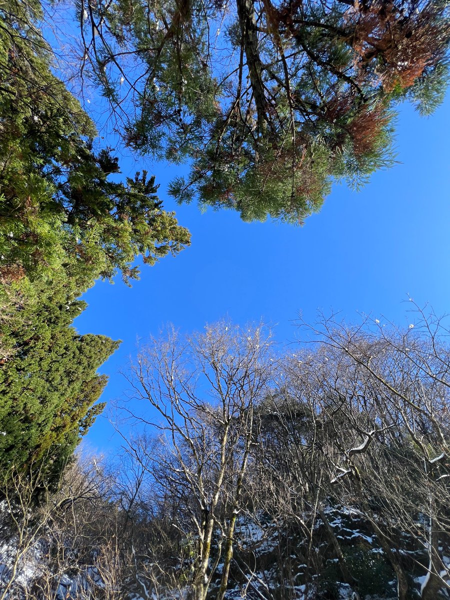 UozuBFM's tweet photo. 富山東部(魚津・上市)の鉱山調査、熱意ある研究者と大集合!🔥 学芸員マサキンマンは夢中になりすぎて時間オーバー💦 雪で汚れた服を洗う姿に爆笑🤣 多方面の専門家と新川の鉱山研究を進められることに感謝!🙏
#富山 #ToyamaJapan #鉱山 #MineExplorer #フィールドワーク #FieldworkLife #学芸員 https://t.co/v32ADOsF6E