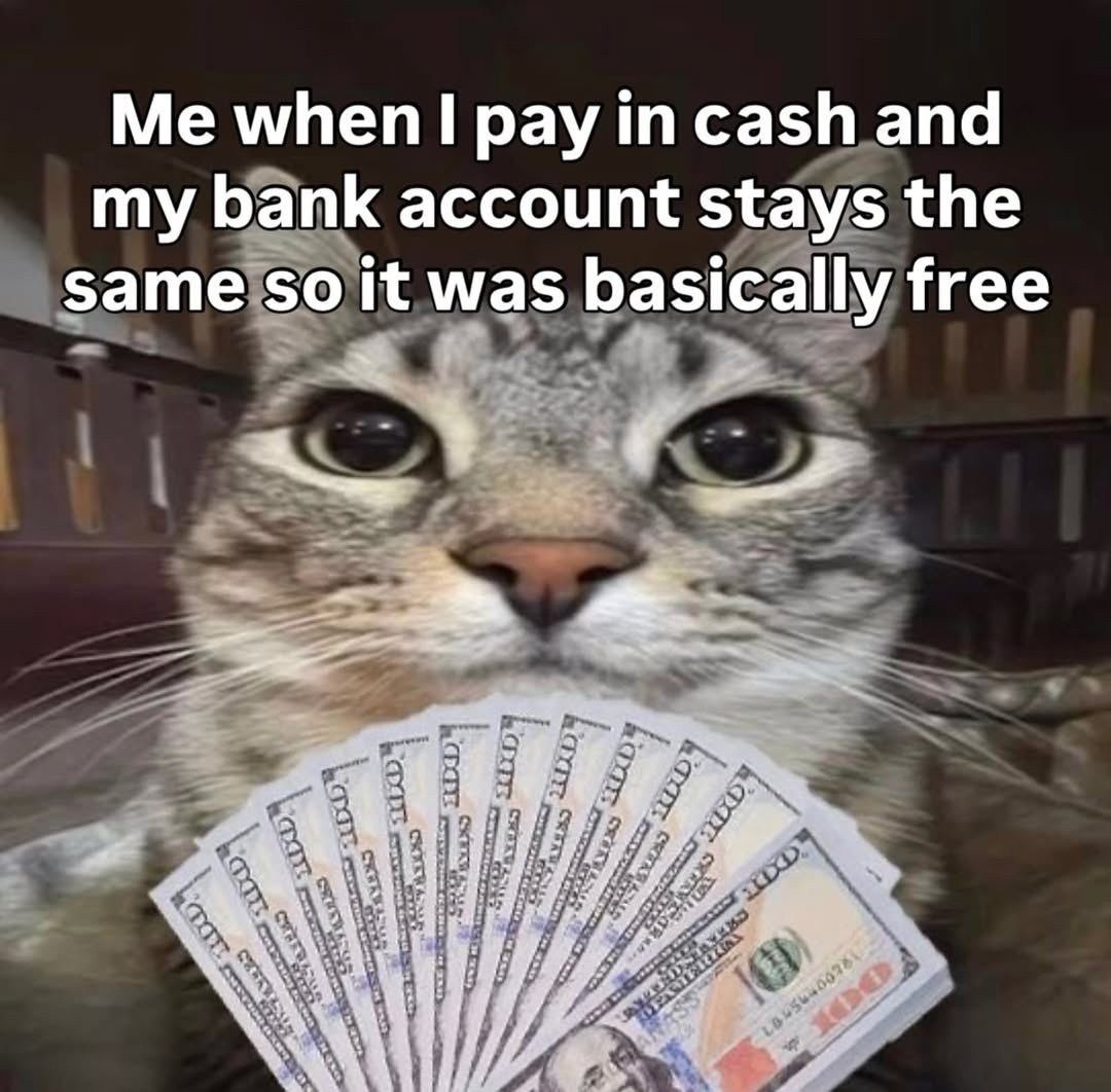 LiterallyMeCats (@literallymecats) on Twitter photo 