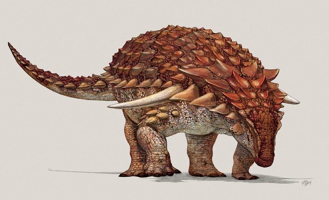 Brand0nsm181274's tweet photo. Is it safe to assume that most dinosaurs
We’re probably fall colored

At least from what we have as of now https://t.co/dtSRgaAHkg