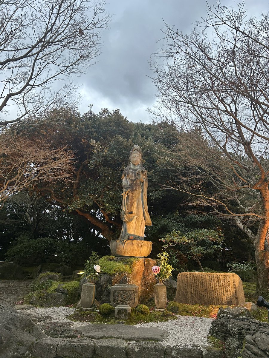 12/12夕方。本日の宿にチェックインを済ませて庭園散歩。(一周目)

#松　#紅葉　#牡丹　#牡丹観音菩薩像