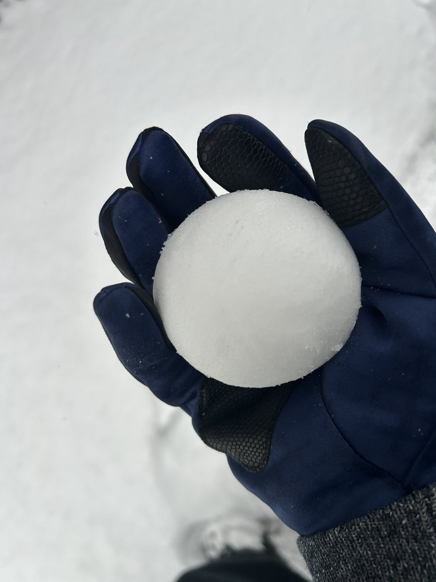 雪玉職人のムカと呼んでください