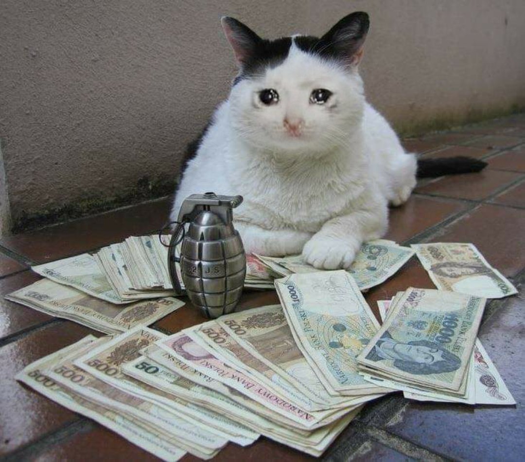 SWR (Poly Holic) tweet media