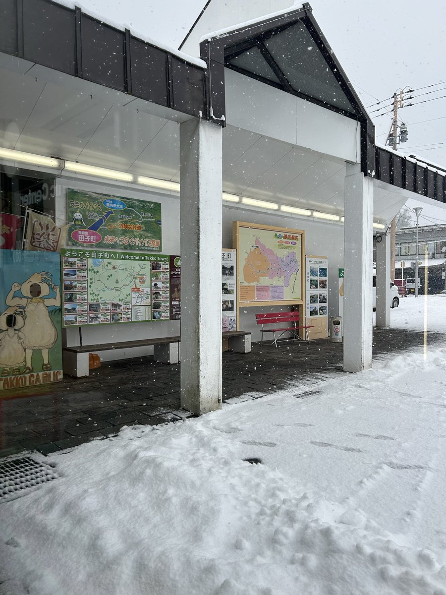 garliccenter229's tweet photo. 雪が静かに降ってます☃️
ラーメン大盛りサービス中！ https://t.co/UIuzZd0DmV