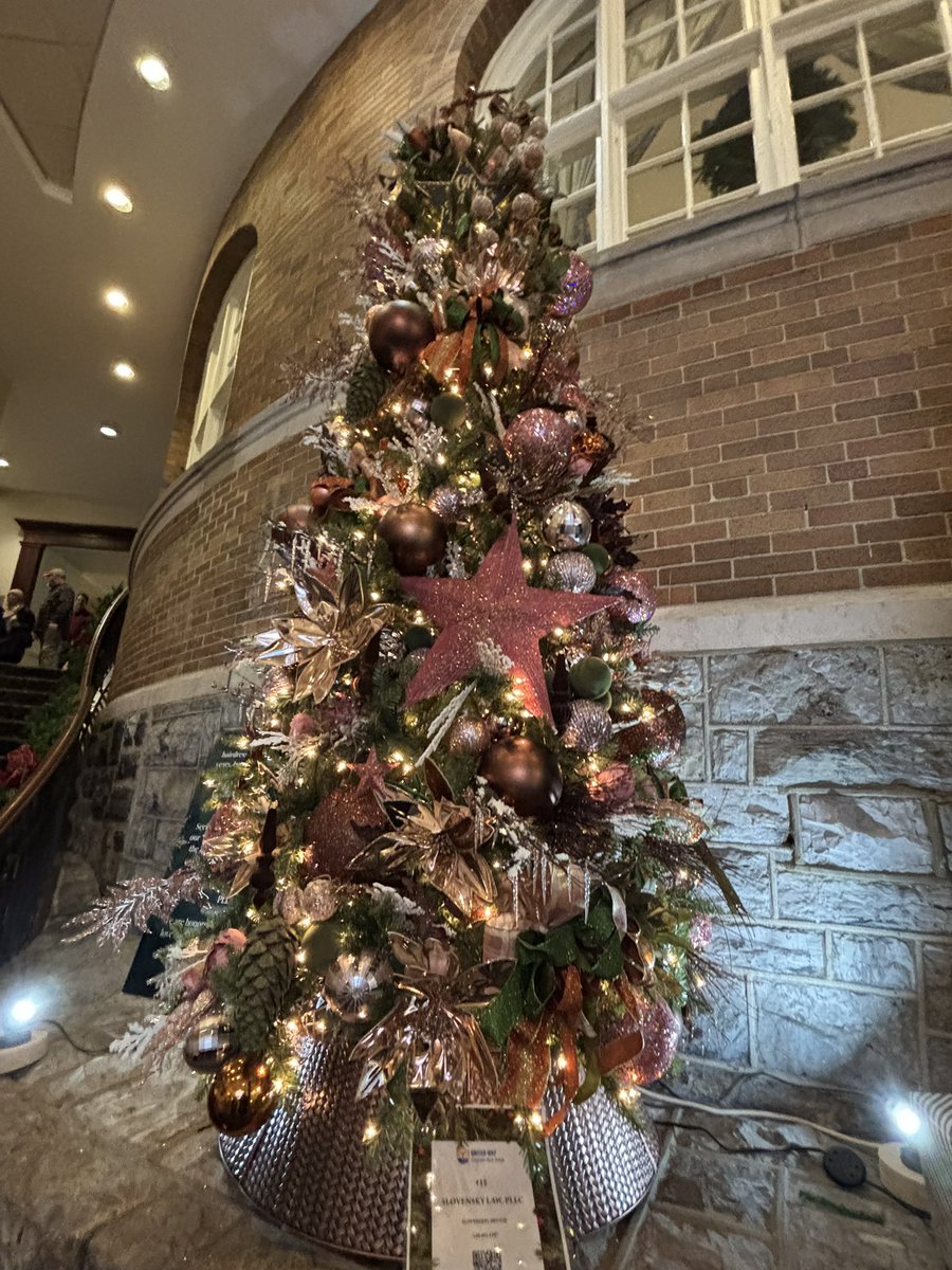 DRSuetterlein's tweet photo. It’s beginning to look a lot like Christmas at Hotel Roanoke! Congratulations to everyone on the beautiful trees - especially Devon Slovensky and her law practice on their inaugural tree! https://t.co/hfhH80T4Q0