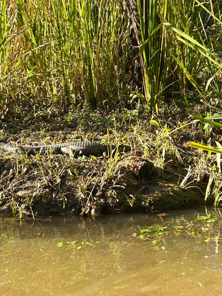 Zach Humphries tweet media