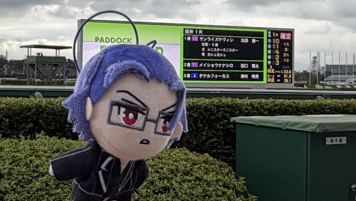 わーちゃん🌗 (@waa_815) / Posts / X