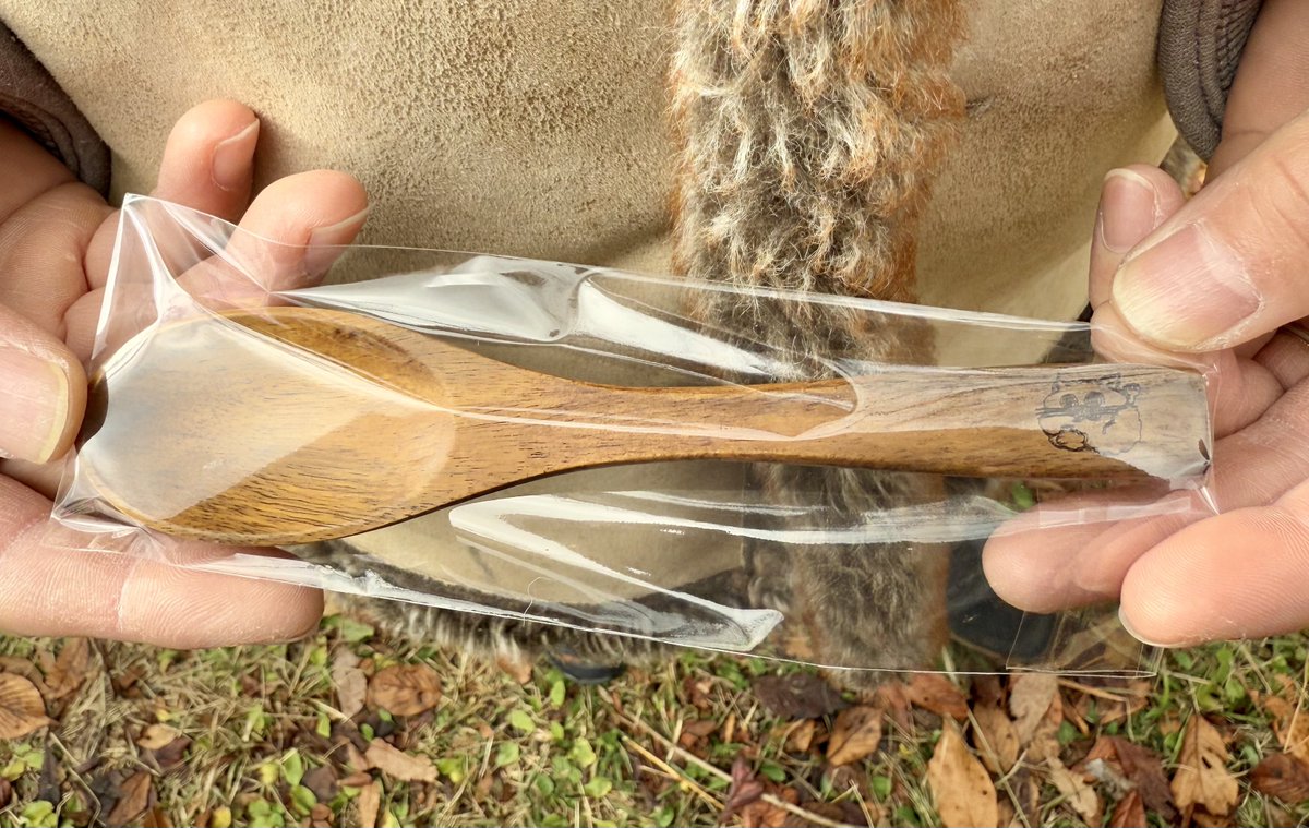 🌳🏕Fun Outbreak Lv.3🏕🌳／ 本日限定で、KENの初となるアカシアのお