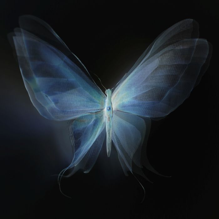 caos_tarot's tweet image. Canalización general ~ toma lo que te resuena lo demás déjalo ir 

1212. Pasitos de bebé. Incertidumbre. Budín de chocolate. Autos rosas. Olor a cigarrillo. Frutillas, muchas.  Los enamorados.  The fate of Ophelia - Taylor Swift. "Todo va a estar bien". 16:16.