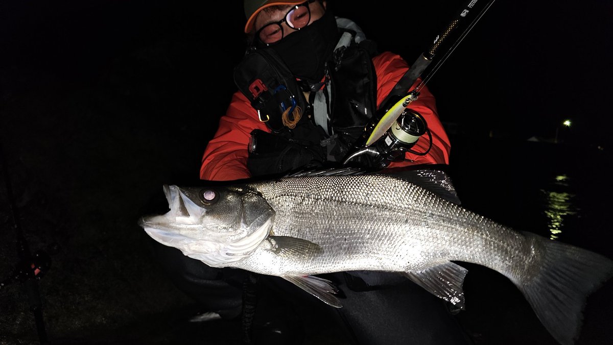 中馬貴寛 tweet media