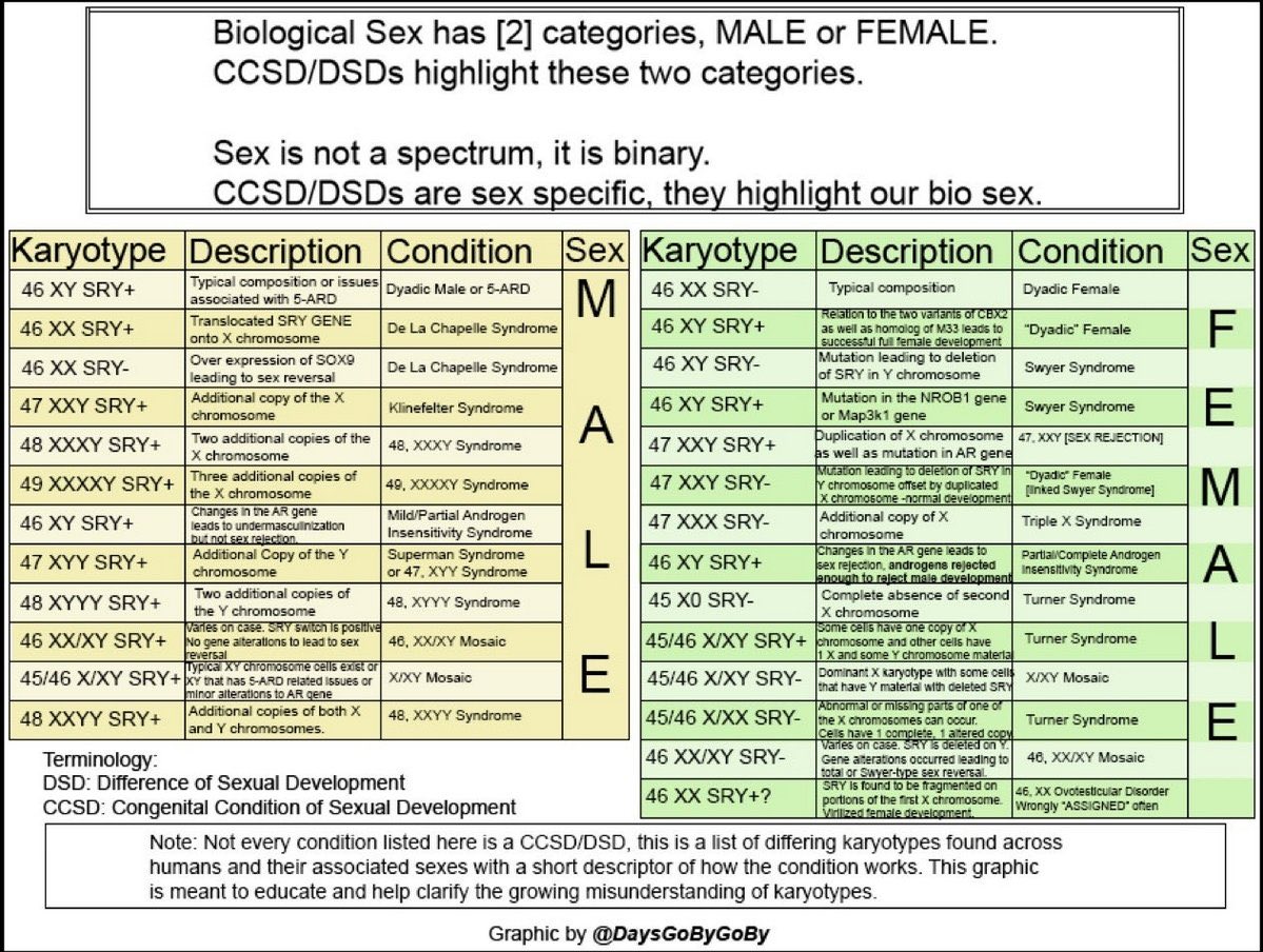 Nachthexe (Night Witch) tweet media