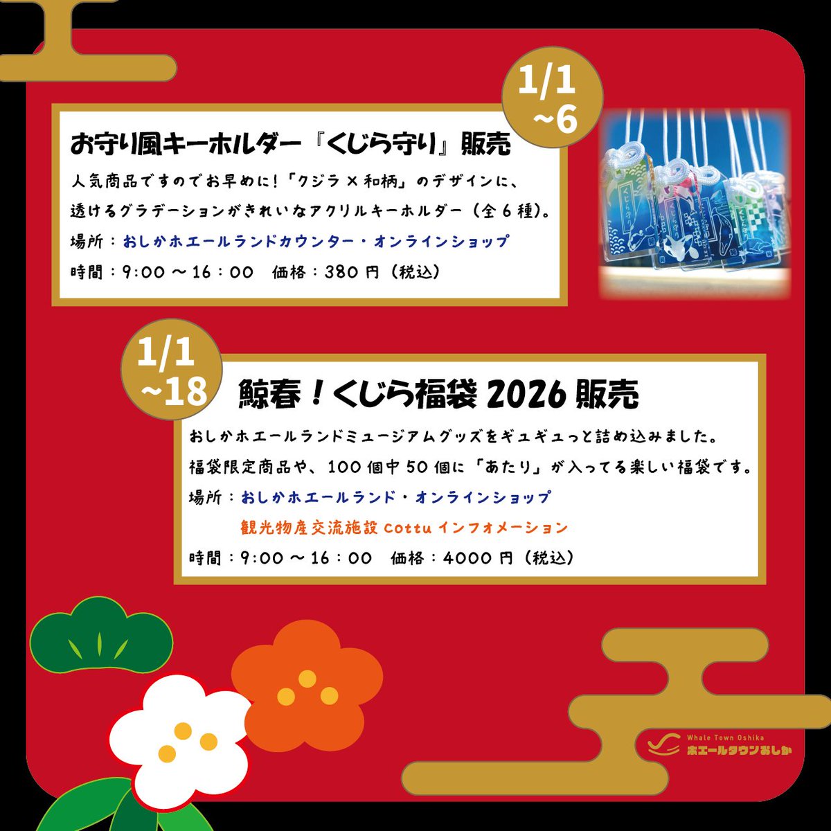 おしかホエールランド (@oshikawhaleland) / Posts / X