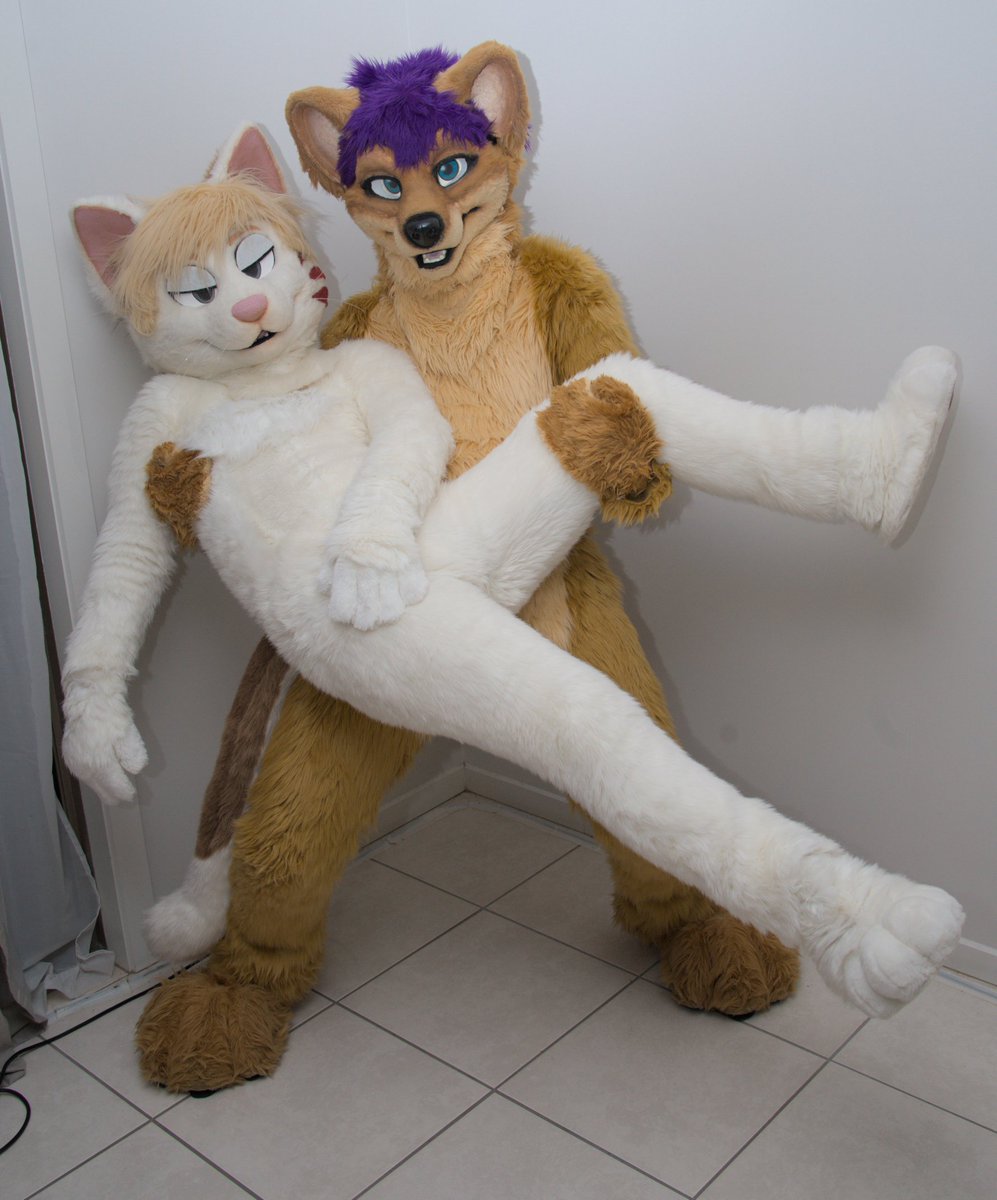 Kal Dingo tweet media