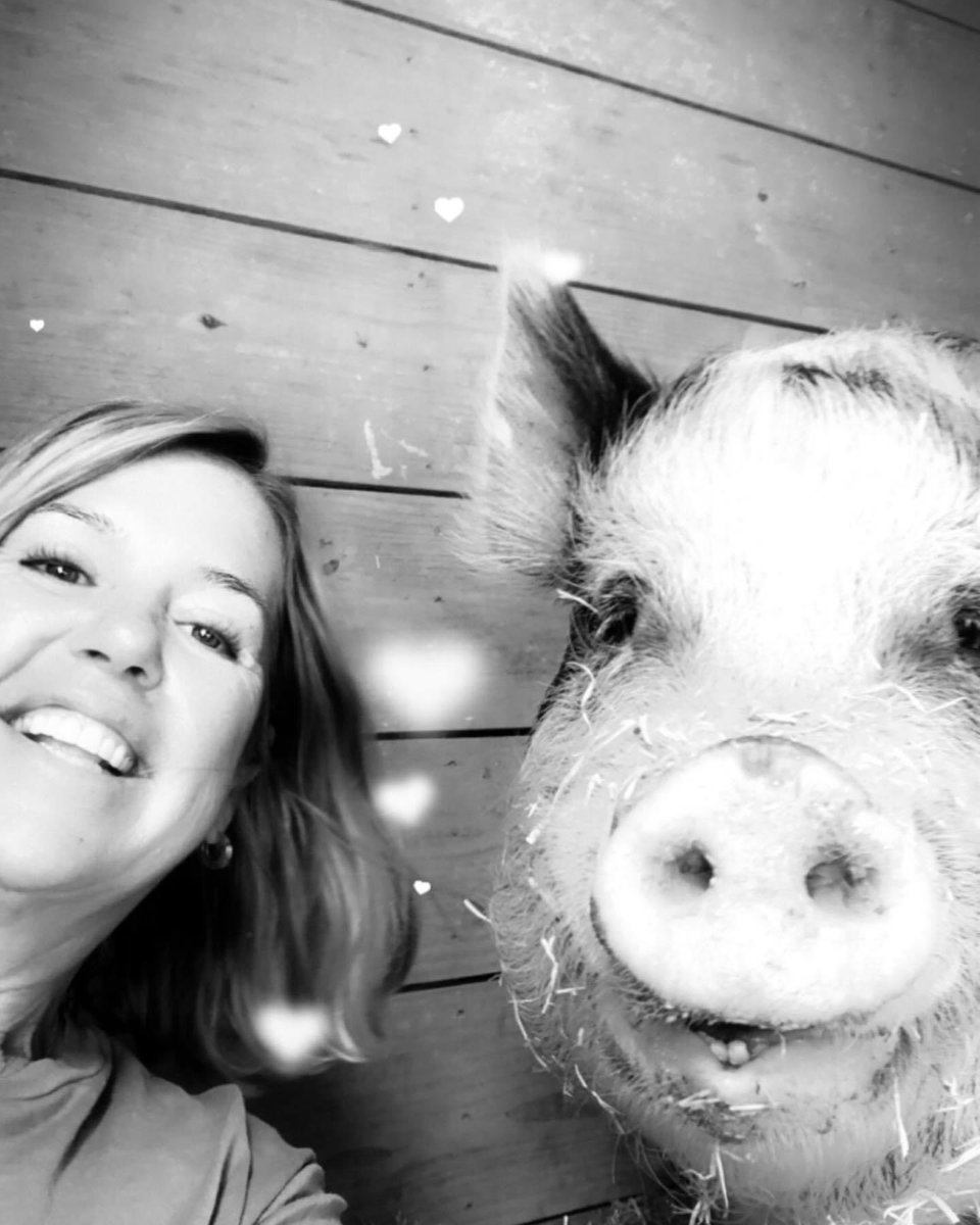 Inspiredfarmgrl's tweet photo. I’m taking my boy to the veterinary hospital in Tennessee tomorrow. I’ve had two local vets look at him and his condition is worsening. I can’t bear to see him suffer. I am in need of some help with Biscuits care. If you would like to donate, you can go to https://t.co/BeVQbya3R1 https://t.co/7WH5xMQ1O2