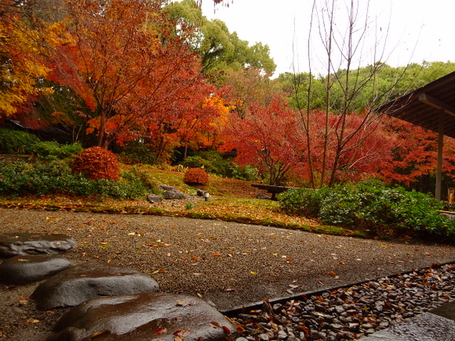 shouintei's tweet photo. 12月14日 四十七士討ち入りは雪の日でありました。本日は時雨でありますが....師走の美しいお庭に感謝です。 https://t.co/wKsf43kjmd