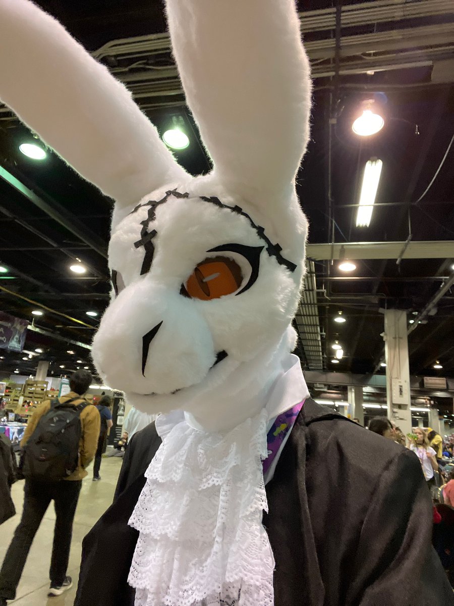TrashysAlley's tweet photo. My cosplay fursuit of the white rabbit from devil may cry!!! 🐇#MFF2025 https://t.co/EnTRmAb88N
