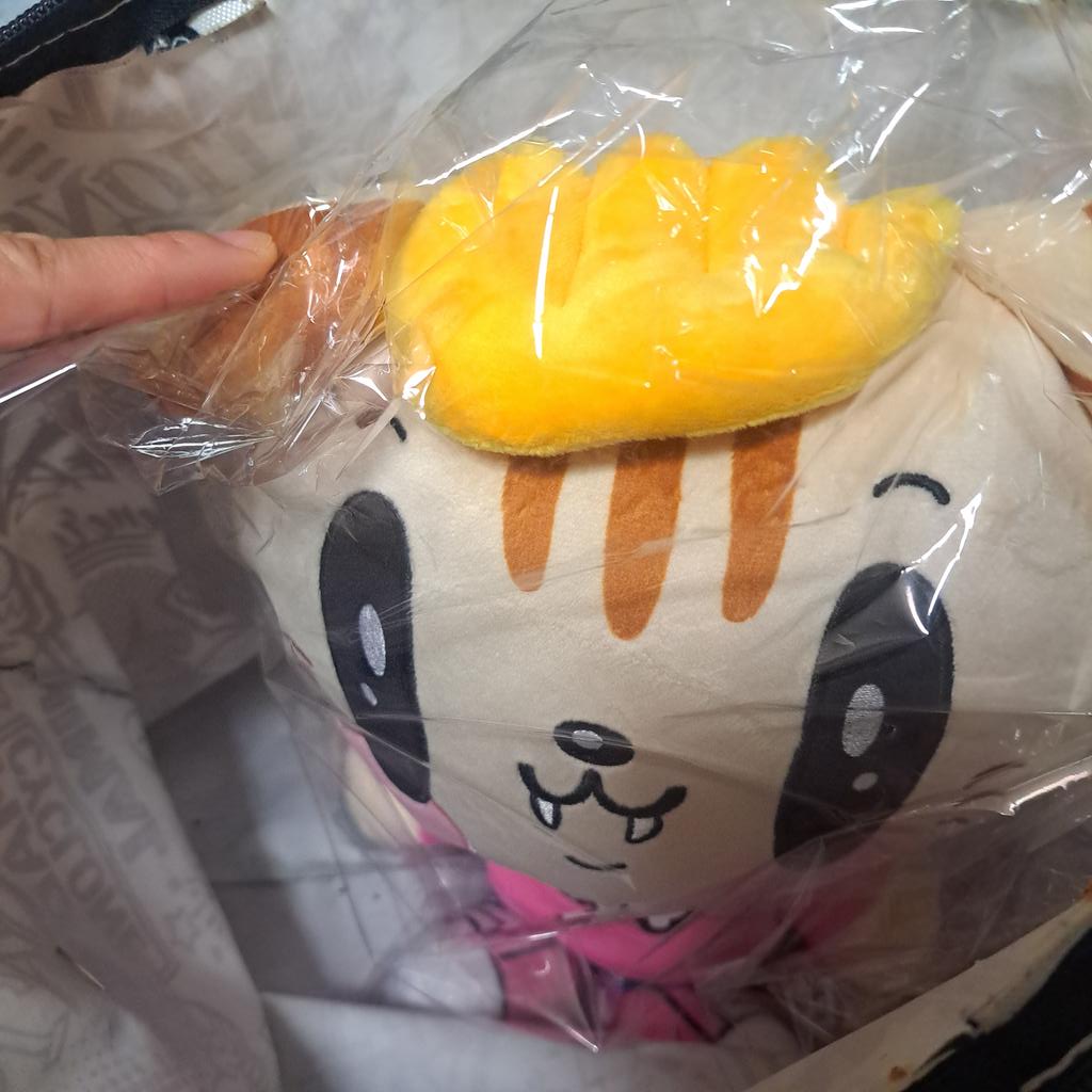 さっとん🐷 (@Sachi_gene3) / Posts / X