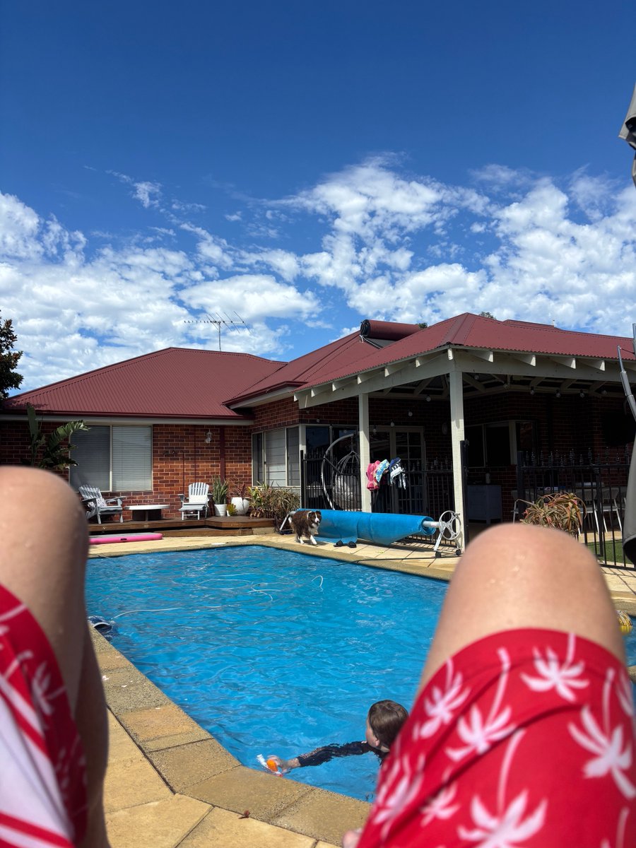 Brad Forrester tweet media